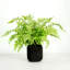 Faux Plant in Ceramic Planter