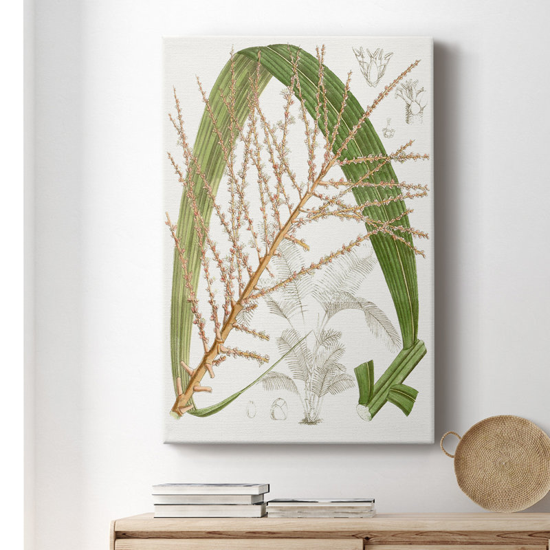Palmier Palmier VII - impression sur toile tendue, H 18 po x l 12 po x P 1 po