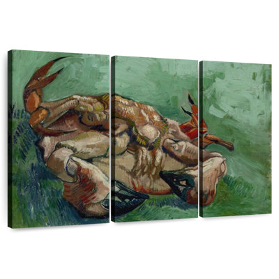 Crabe Brampt sur son dos