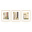 Again in Green, Set of 3 by Driftway Studio - Framed Wall Art-295797058-295797062