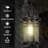 12.4'' Hardwired Outdoor Hanging Light