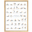 «Complétez le tableau de poses de yoga 40 positions de yoga essentielles pour les débutants et les experts en petit décor»-101376446-101376443