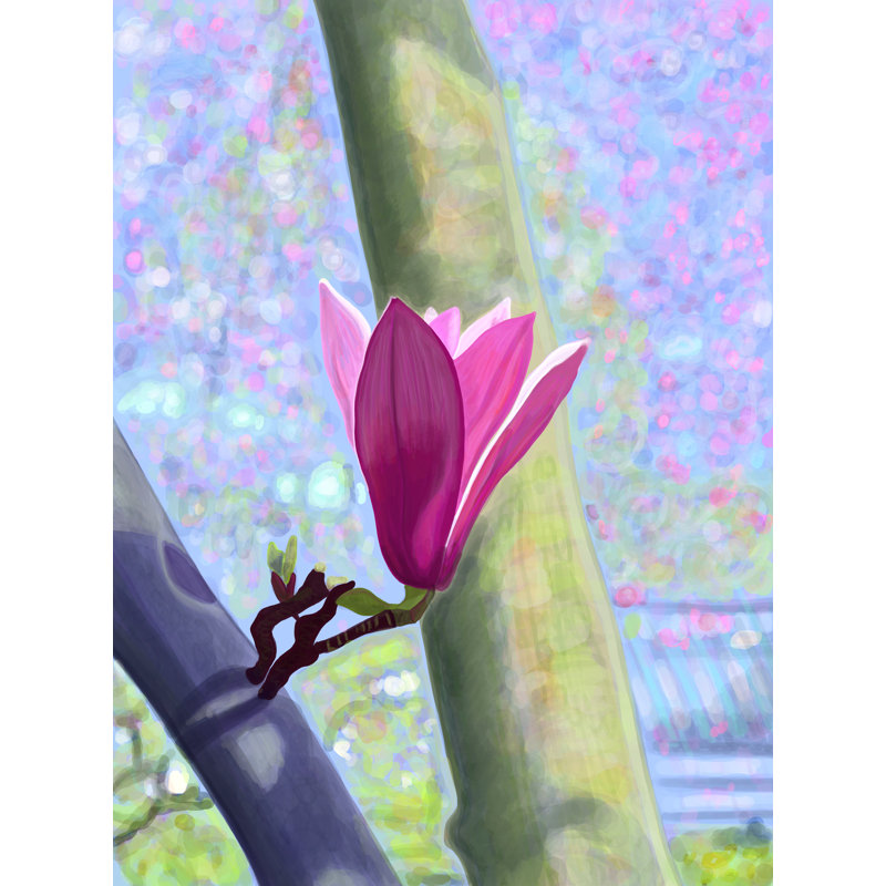 Magnolia Blossom Print by Evan Sklar, Black Framed Paper, 31.25" H x 25.25" W