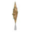 10" Lighted Gold Frosted Star of Bethlehem with Scrolling Christmas Tree Topper - Clear Lights