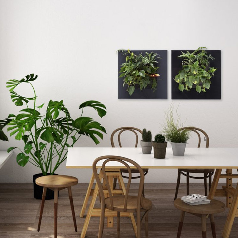 Noella Planter, Black
