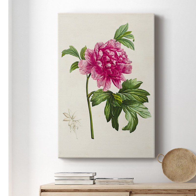 «Pretty Pink Botanicals I», toile tendue avec châssis de qualité supérieure - prête à être accrochée, H 48 po x l 32 po