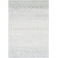 Narine Machine Woven Grey/White Indoor Rug-1484723509