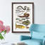Various Fishes XXXIV by Oliver Goldsmith - Picture Frame Painting Print-55605211-55605214