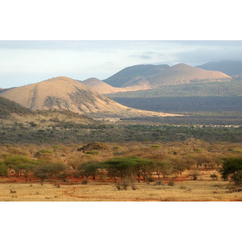 Savane africaine - photographie sur toile tendue, L 12 po x H 8 po