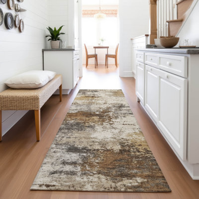 Machine Washable Indoor/Outdoor Xhevrie Brown Rug