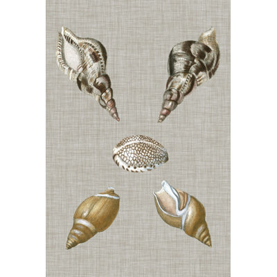 Coquillages sur lin IV