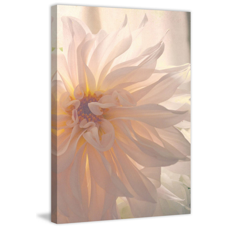 Buy Her Flowers by Robert Dickinson - Wrapped Canvas Print, 46cm H x 30cm W x 4cm D