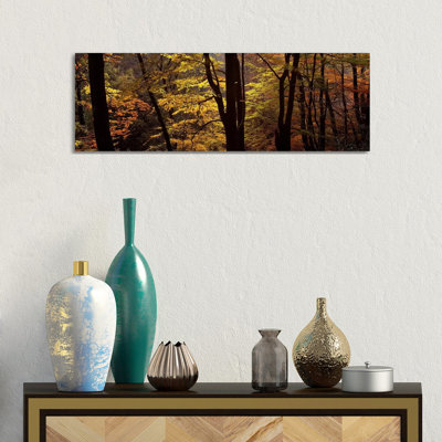 Mid Section View Of Trees, Littlebeck, North Yorkshire, England, United Kingdom by Panoramic Images - Wrapped Canvas Panoramic Print