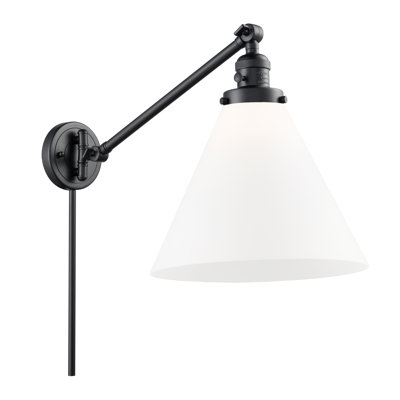 Cone 1 Light  Swing Arm
