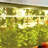 Two Strip Growing Lamp 2-Pack