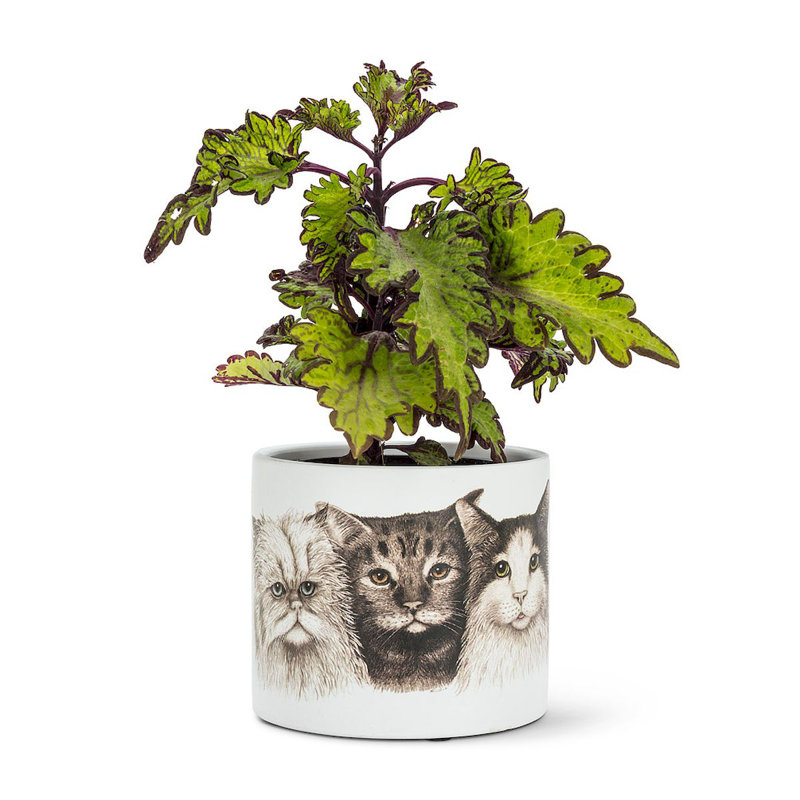 Pot Planter