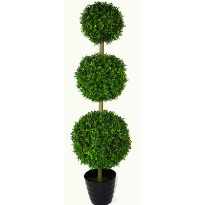 120cm Boxwood Topiary in Pot