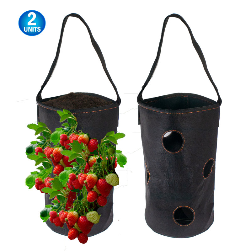 Sac à fleurs suspendu en plastique 2 pièces Ginette