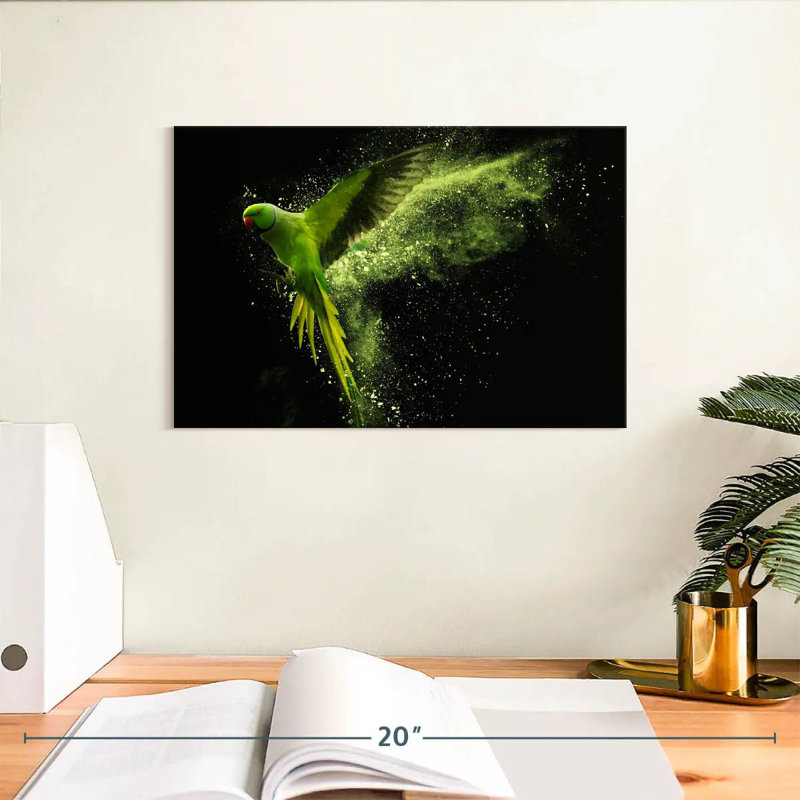 Brampt Alexandrine Parakeet, 8" H x 12" W