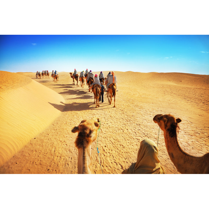 Tourists On Camel - Wrapped Canvas Print, 51cm H x 76cm W