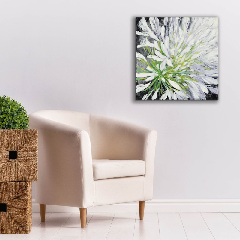 «Cleome Splash 2 Black» par Julia Purinton, art mural sur toile, H 26 po x l 26 po x P 1,5 po