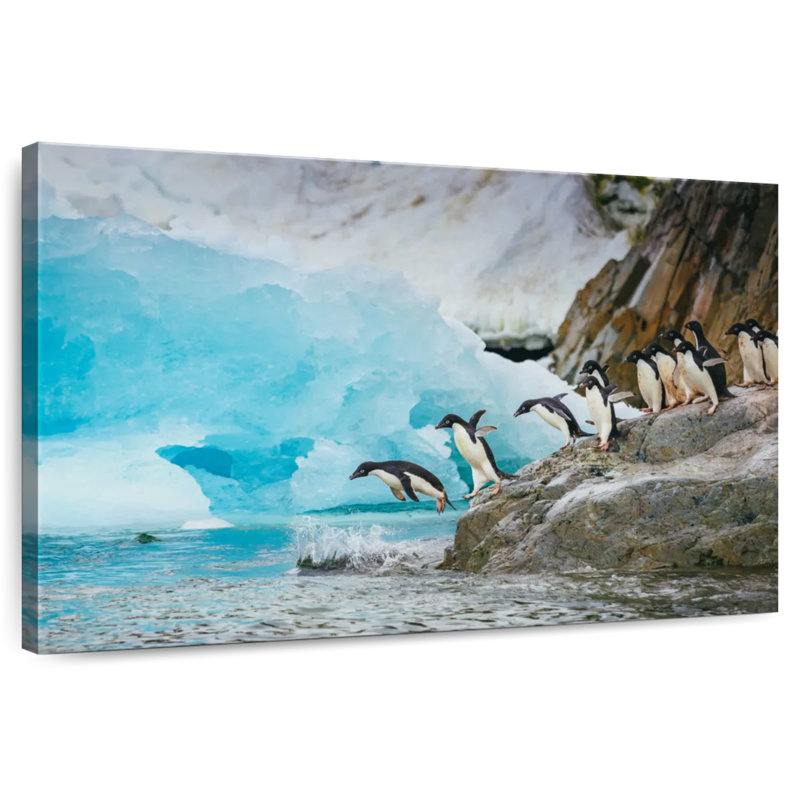 Manchots de plongeon Brampt, H 8 po x l 12 po