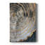 ABSTRACT Series CCxxiii - galerie sur mesure-1651193295