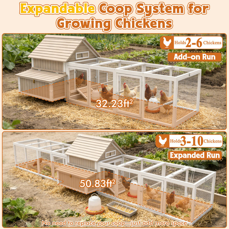 Large Chicken Coop With Two Nesting Box