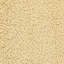 Astri Area Rug-2136698053