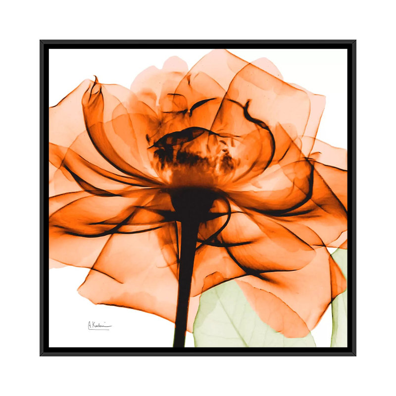 «Rose», reproduction d'impression sur toile, H 18 po x l 18 po x P 1,5 po, Toile avec cadre noir, Pas de tapis
