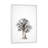 Baobab Legacy V by Klaus Tiedge - Print on Canvas-1618991583-1618991582