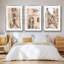 Blush Architecture Study IV 3 pièces-97760402-97760403
