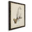 Salamanca French Owls IV - reproduction de photo sur toile-88378420-88378417