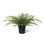 Faux Fern Plant in Pot
