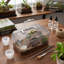 Terrarium gris transparent pour insectes et reptiles