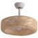 Quebisha 20'' Boho Caged Ceiling Fan with Light Kit and Remote Control