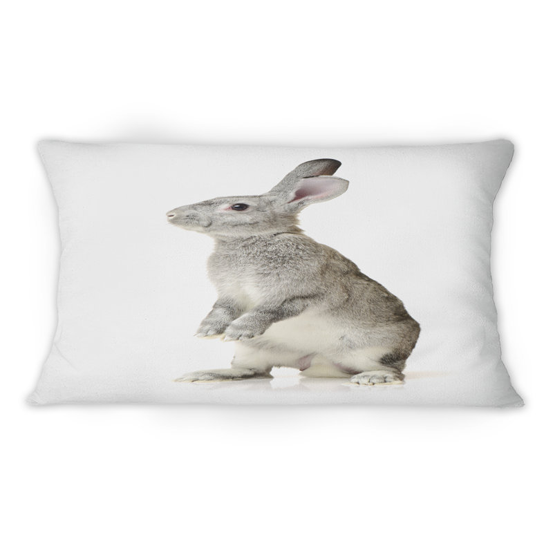 Portrait d'un lapin gris - coussin décoratif traditionnel imprimé