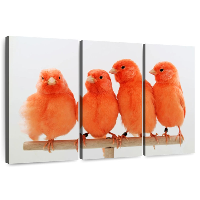 Brampt Red Canaries, 48" H x 74" W