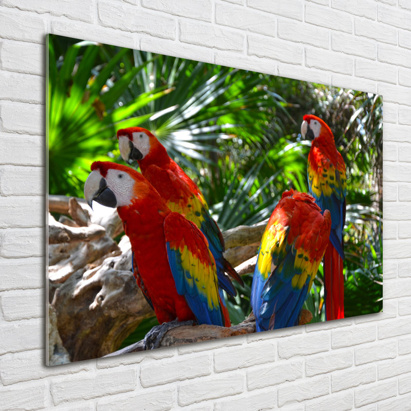Macaw Parrots - Unframed Art Prints on Glass