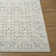 Nabela Noor X Livabliss Aram Machine Woven Rug