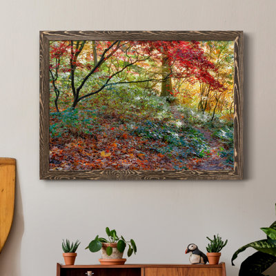 " Secret Garden "