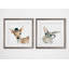 « jolie critter cerf », ensemble de 2 reproductions encadrées-27611460