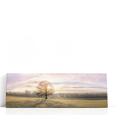 «Trees in Meadow II», reproduction d'art sur toile