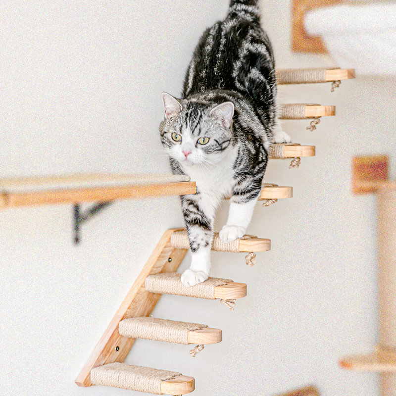 2 Pieces Cat Climbing Steps