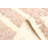 Sienna Tan Rug 5'3" x 7'9"