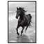 «Graceful Horse», impressions sur toile en noir et blanc par Notoriart-105308916-105308904