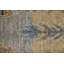 Tapis floral et botanique transitionnel Rapsody-392450268