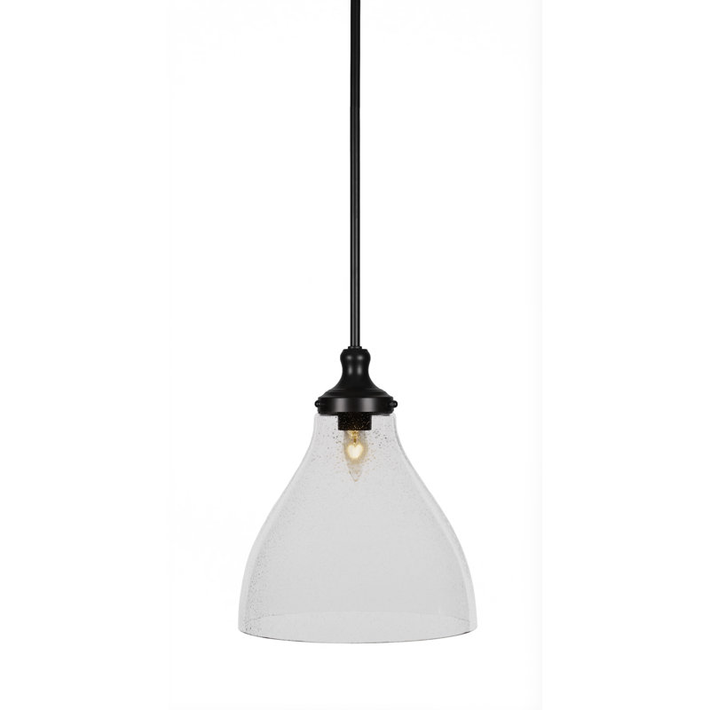 Luminaire suspendu à tige avec verre 11,75 po Juno, Clair, Noir mat