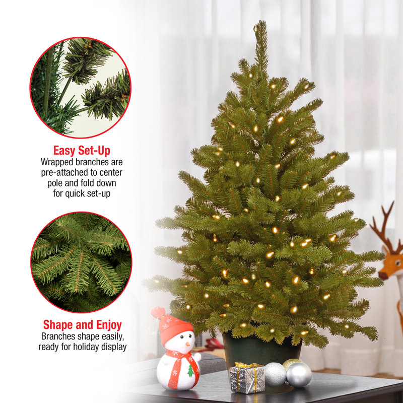 The Holiday Aisle® 3ft. Hampton Spruce Tree with Clear Lights