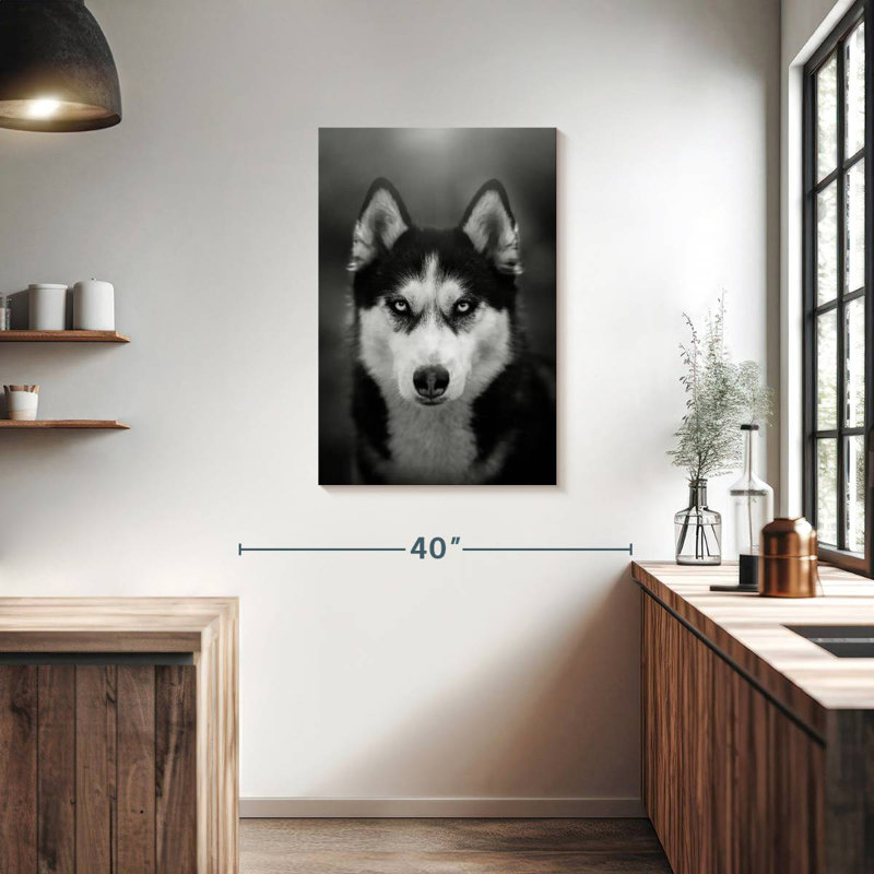 Brampt Serious Siberian Husky, 36" H x 24" W